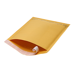 Ecolite Bubble Mailers #4 100 qty