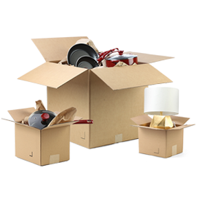 Affordable Moving Boxes and Supplies: Packing Collectibles and Sports  Equipment –