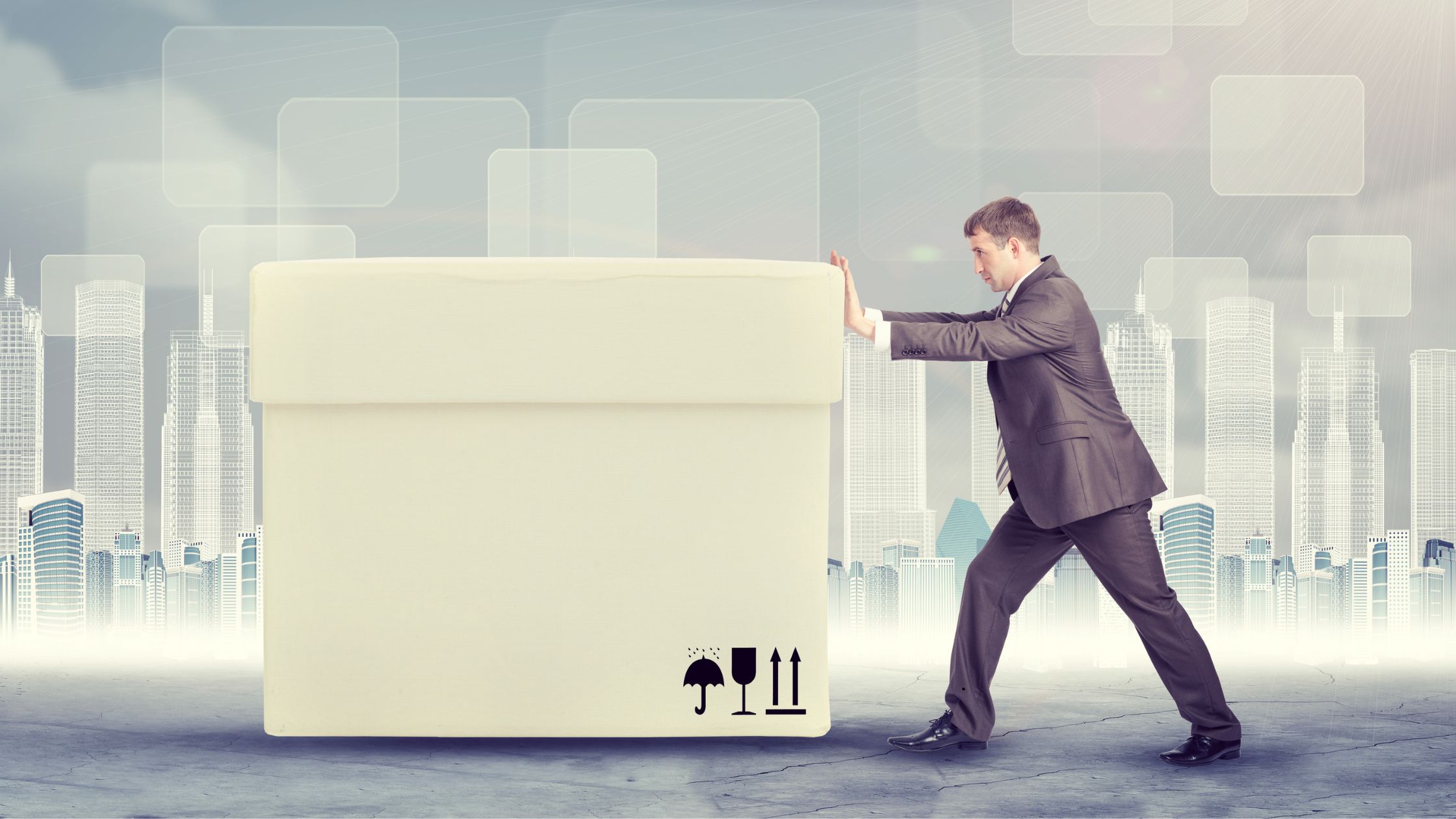 The XL Box E-Commerce Strategy That Shopify Sellers Swear By