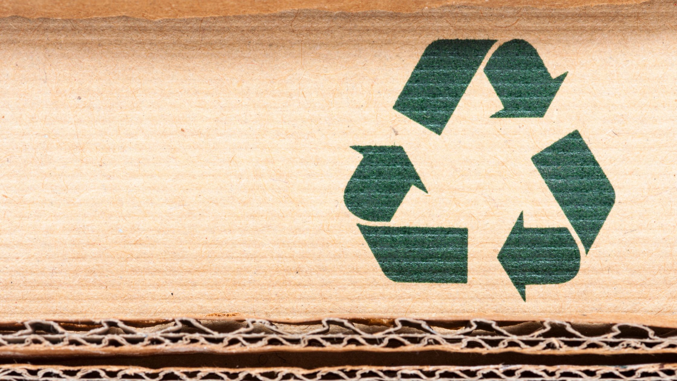 How Recyclable Mailers Help Reduce Shipping Waste